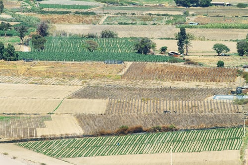 Preview: Lluta Valley landscape