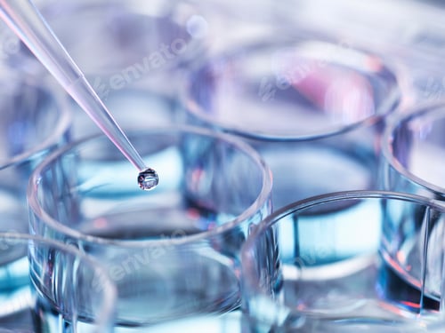 Preview: Pipetting droplets of liquid into multiwell dish, high angle view