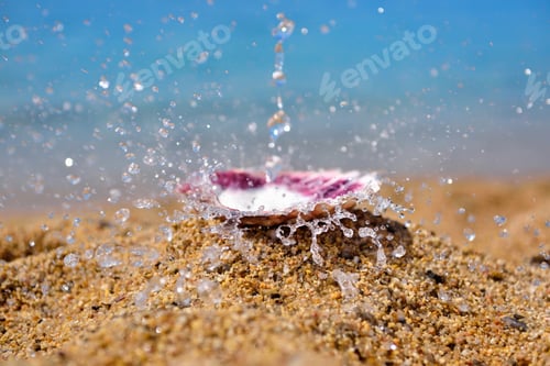 Preview: A shell on the beach against the background of the sea and waves. Summer concept