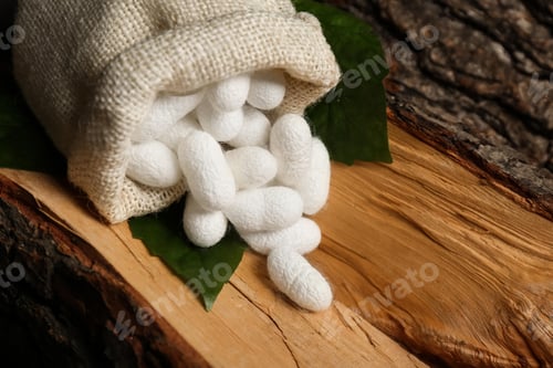 Preview: white silk cocoon, silky, fiber