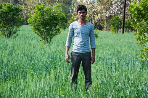 Preview: Indian Farmer in his agriculture field.
