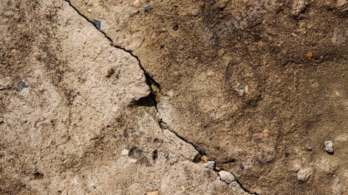 Vorschau: Riss an einer alten Grunge-Betonwand, die mit braunem Moos bedeckt ist