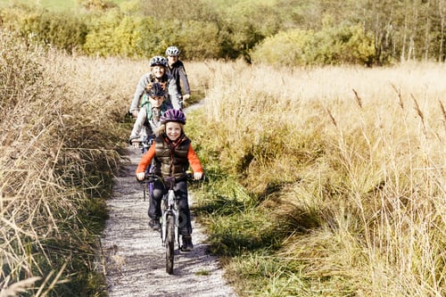 Preview: Family bike ride on a sunny autumn day.