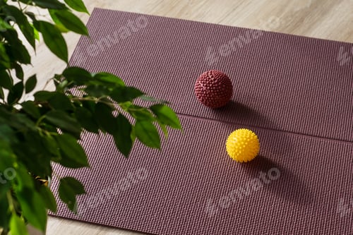 Preview: Massage Balls with Yoga Mat and Indoor Plant