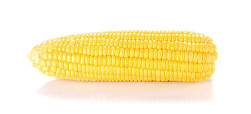 Preview: One Yellow Corn on white background.