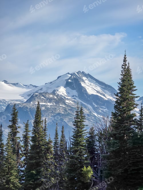 Preview: Majestic Snow-Capped Mountain and Evergreen Forest in Whistler, BC, Canada