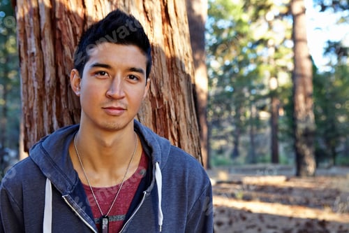 Preview: Portrait of young man in forest, Los Angeles, California, USA
