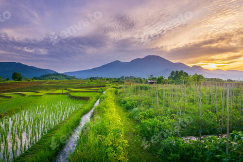 Preview: beautiful morning view from Indonesia of mountains and tropical forest