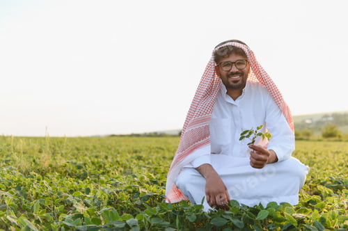 Preview: Arab farmer inspecting soybean plant in cultivated field