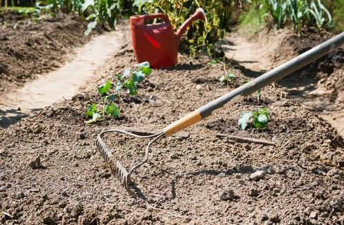 Preview: Garden season