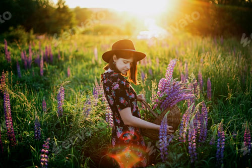 Preview: Stylish woman relaxing in lupine field in sunset light. Atmospheric moment in summer countryside