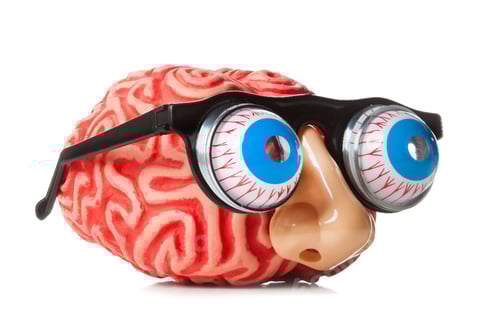 Preview: Rubber brain with funny nose and glasses.