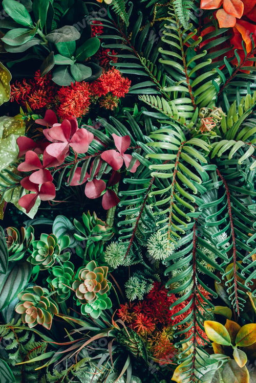 Preview: Close up group of background tropical green leaves texture and abstract background.