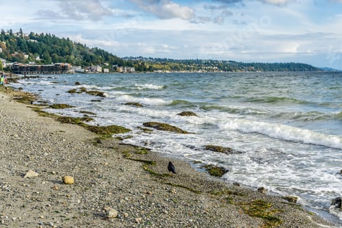 Preview: Waves Roll Toward The West Seattle Shoreline.