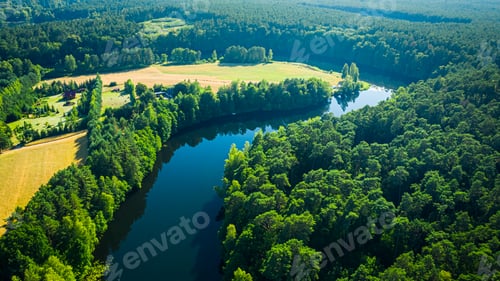 Preview: River and green forests at sunrise in summer