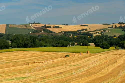 Preview: Rural landscape near Macerata, Marches