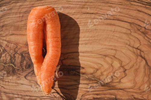 Preview: Freshly picked organic carrots from the farm on a wooden cutting board