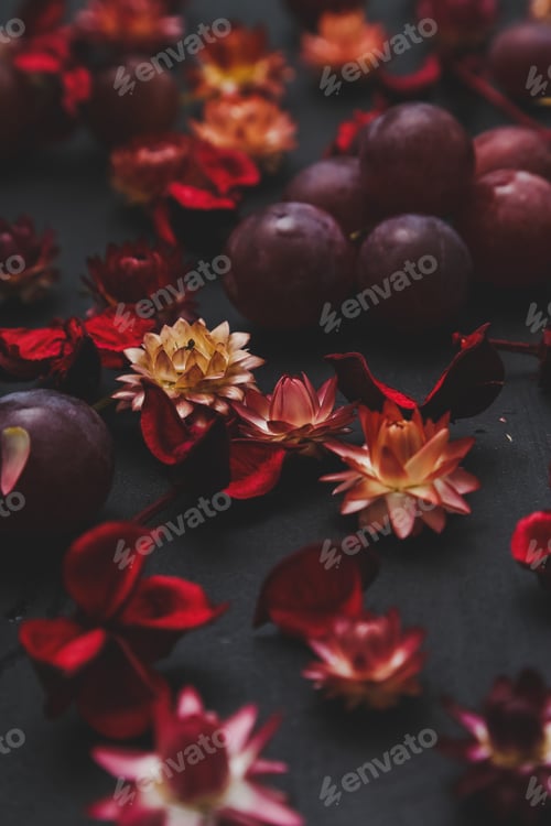 Preview: Dried flowers