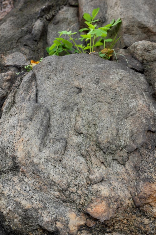 Preview: Texture Of Granite, Abstract Texture, Stone, Rocky Background, Natural Pattern For Designer, Stone