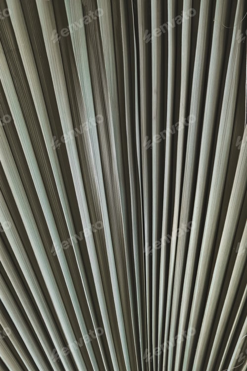 Preview: Tropical palm leaf on gray background.Concept eco-friendly, ecology, sustainable, upcycling, organic