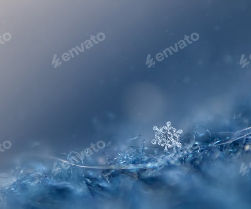 Preview: Macrophotography of snowflakes on a blue scarf