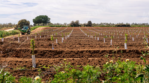 Preview: Farmer in tractor preparing land with seedbed cultivator. Agricultural field