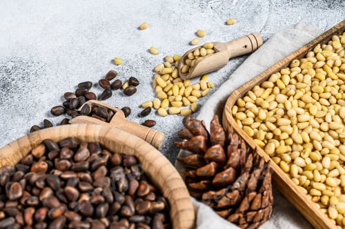 Preview: Raw pine nuts peeled and shelled. Gray background. Top view