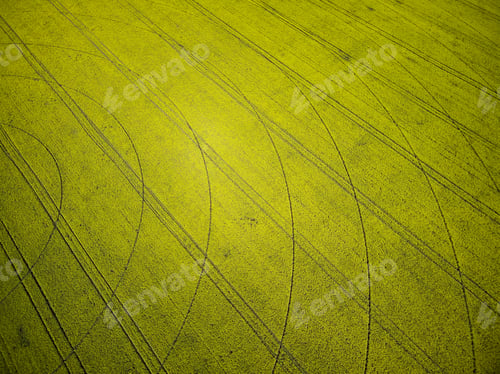 Preview: Center pivot irrigation system on a yellow rapeseed field aerial view