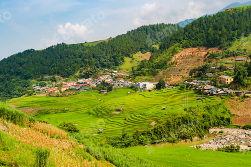 Preview: Paddy rice terraces, green agricultural fields in countryside of mountain hills valley, Vietnam.