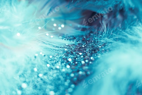 Preview: macro shot of feather and glitter
