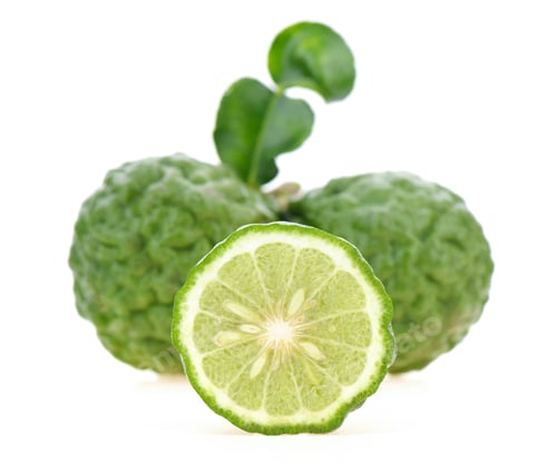 Preview: Bergamot on white background.