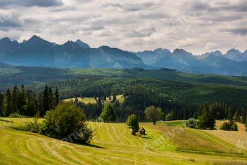 Preview: Meadows and pasture on rolling hills in mountains, drone view. Summer in countryside in Poland