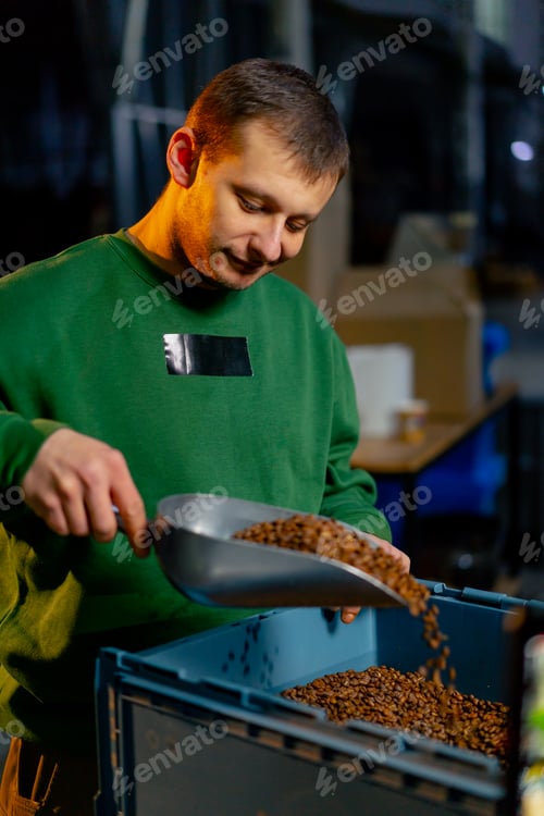 Preview: portrait at a coffee roasting factory worker scoops coffee with a shovel