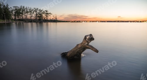Preview: Head Above Water