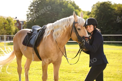 Preview: Young woman in horse riding suit and her beautiful pet outdoors on sunny day