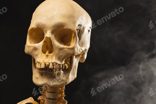 Preview: Plastic skeleton and smoke with copy space on black background