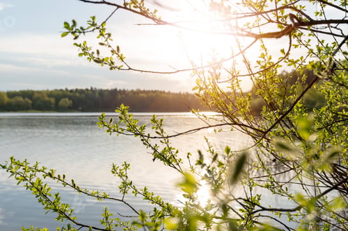 Preview: Sunset on the lake