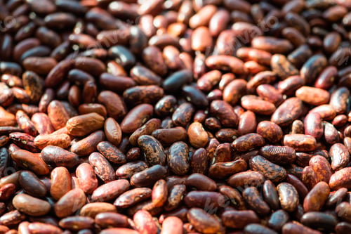 Preview: grain