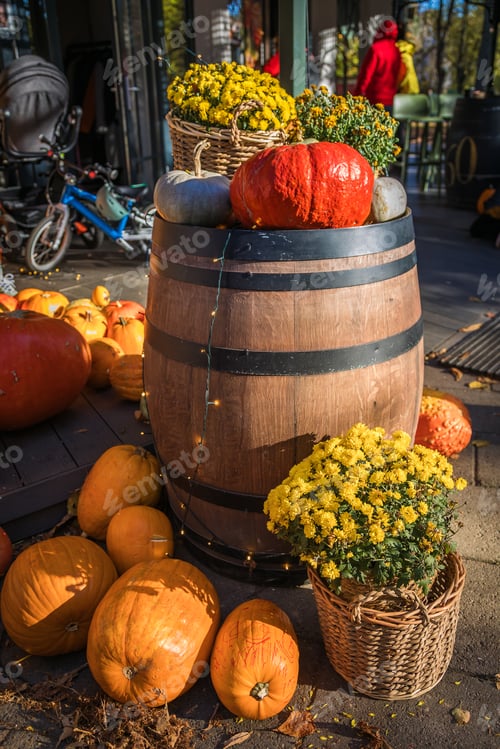Preview: Festive autumn Halloween decoration with pumpkins and yellow chrysanthemum flowers