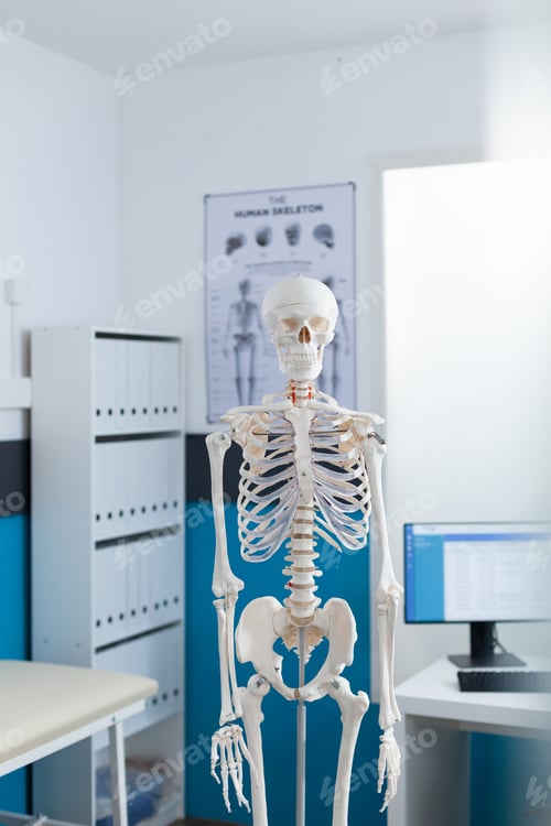 Preview: Empty medical office equipped with anatomical human skeleton