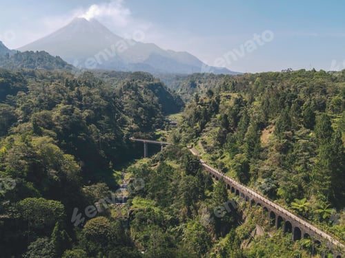 Preview: Aerial drone view of a bridge in the middle of forest in Plunyon, Yogyakarta, Indonesia.