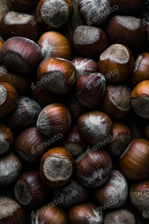 Preview: Huzelnut background. Hazelnuts in shell stacked in a heap shot from above closeup