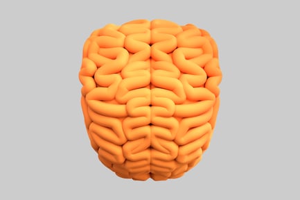 Preview: Orange human brain