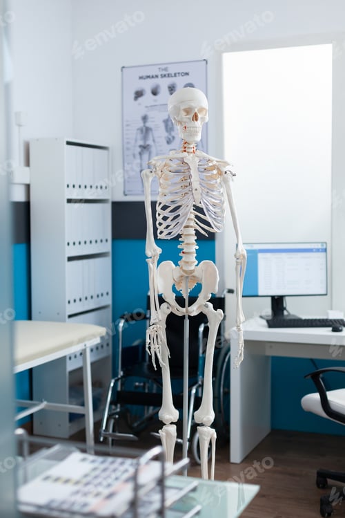 Preview: Empty hospital office equipped with human anatomical skeleton