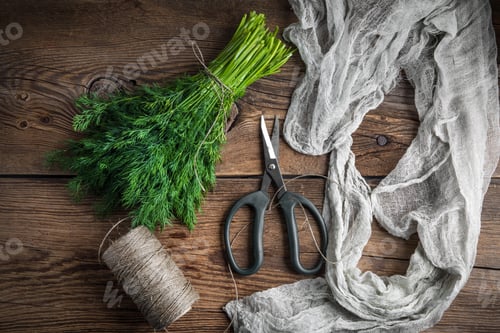 Preview: Dill. Fresh garden herbs.
