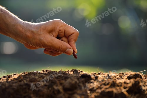Preview: Planting