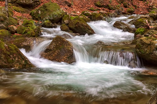 Preview: Close up of water in the river with rocks in a forest