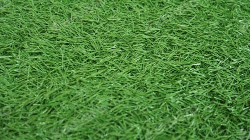 Preview: Green Artificial Turf Background Close-Up Abstract