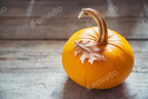 Preview: Autumn background with pumpkin. Thanksgiving Day. Selective focus.