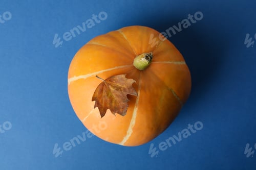 Preview: Thanksgiving Day concept with pumpkin on blue background